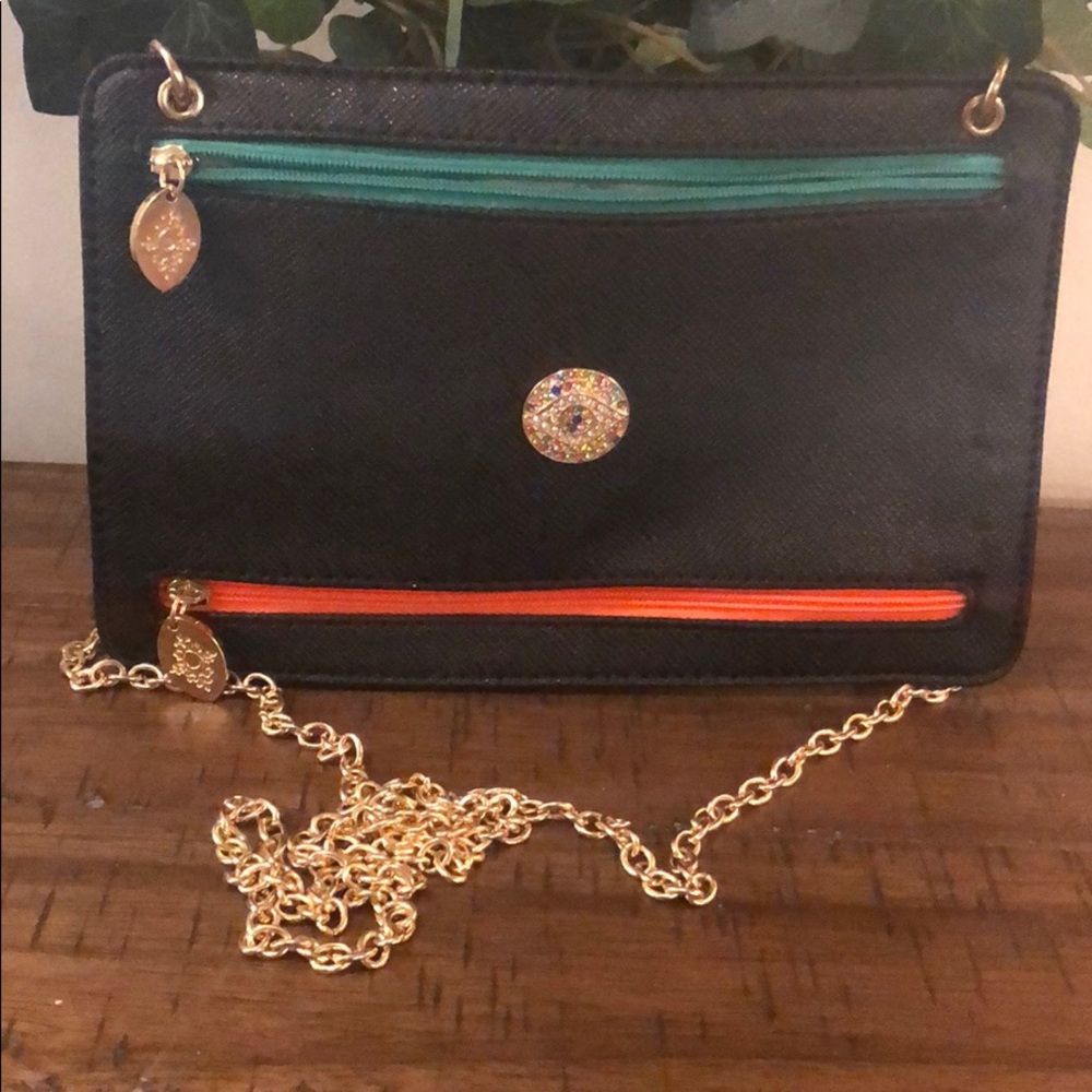 Carol Brodie purse/clutch